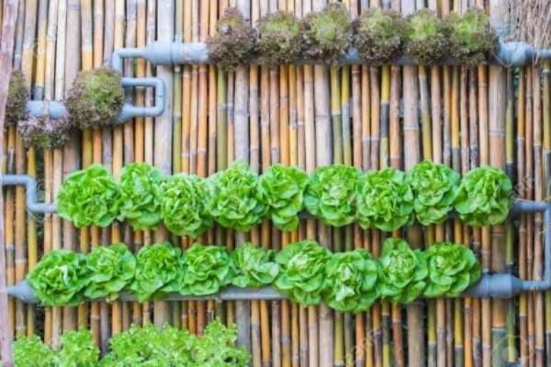 74. Modelo de cerca de bambu serve de sustenta&ccedil;&atilde;o para horta vertical. Fonte: Pinterest