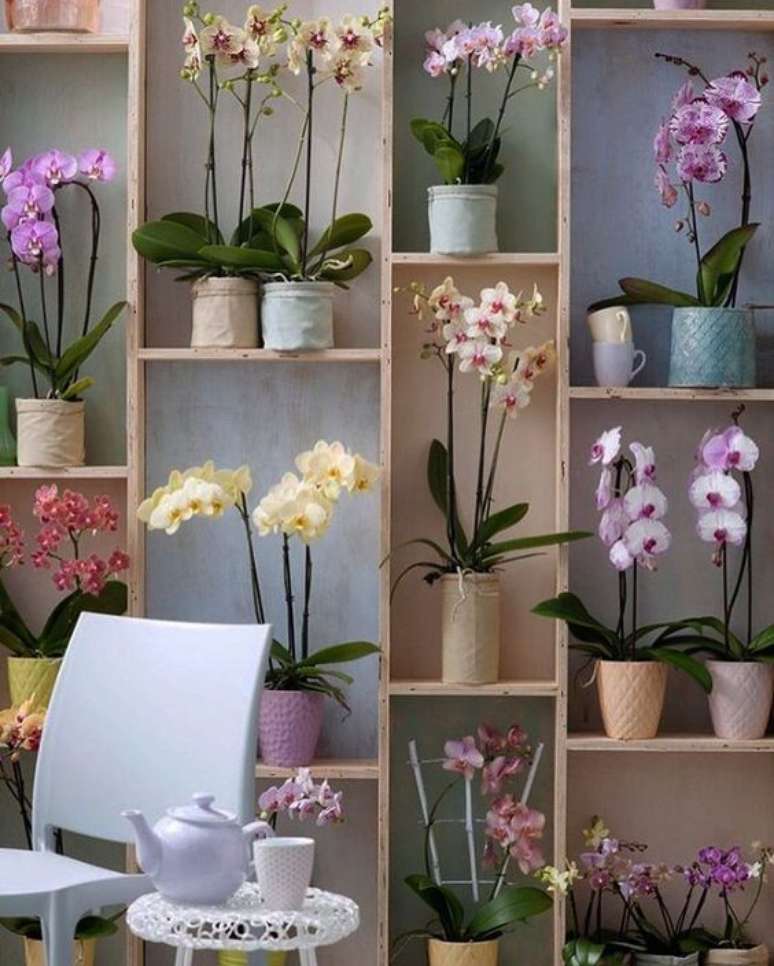 1. Estante decorada com vasos de orquídea – Via: Arquitrecos