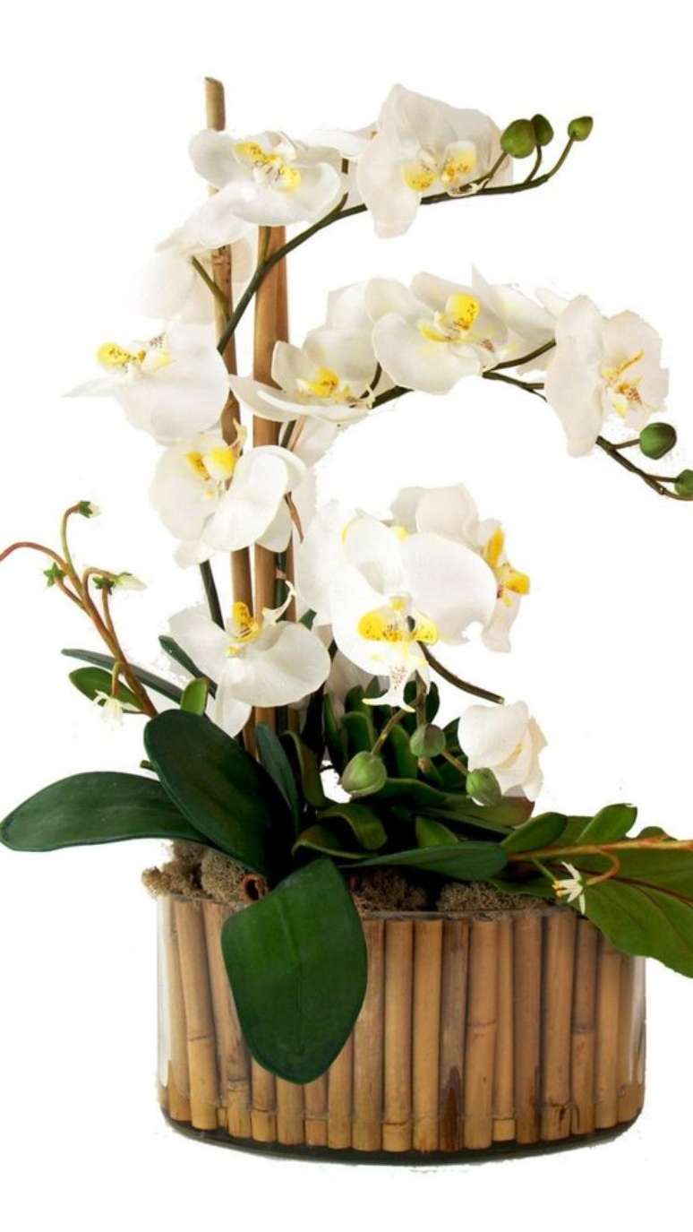 11. Vaso de madeira para orquídea branca – Via: Hotmart