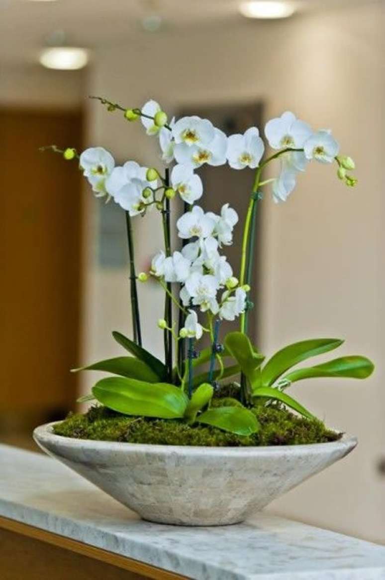 10. Vaso de orquídea feito de cimento – Via: Como fazer em Casa