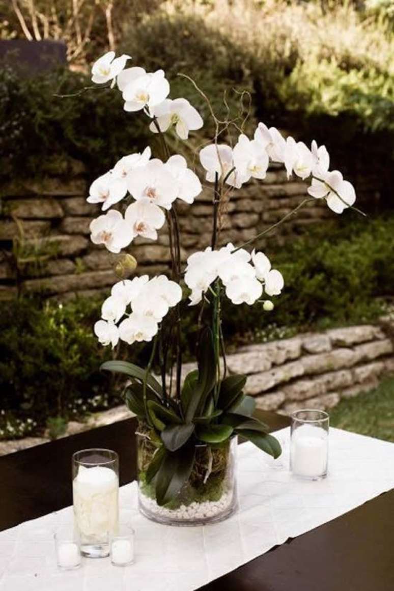 12. Vaso de orquídea de vidro – Via: Como fazer em casa