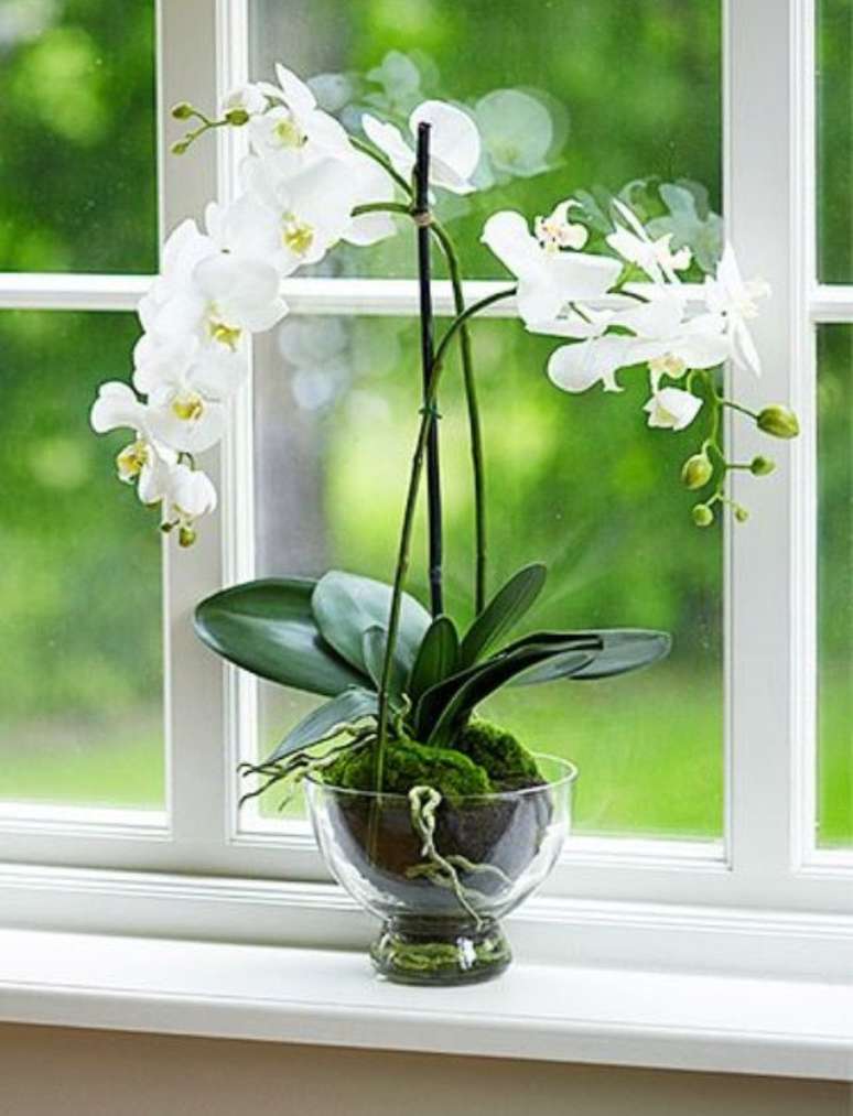 13. Vaso de orquídea de vidro – Via: Country Living