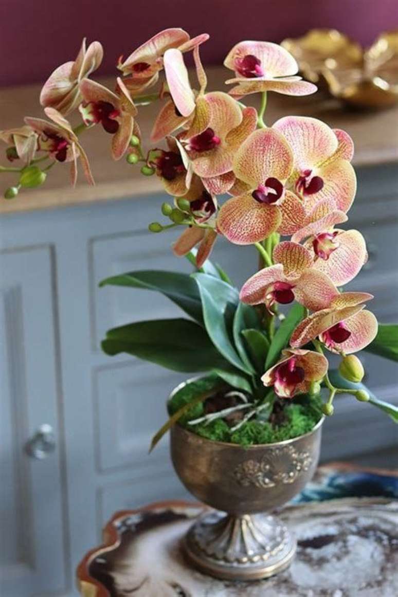 17. Capriche na escolha do vaso de orquídea – Via: Mung Fali