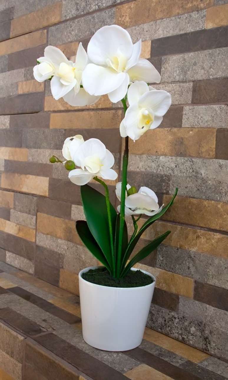 18. Vaso de orquídea – Via: Natalia Cruz