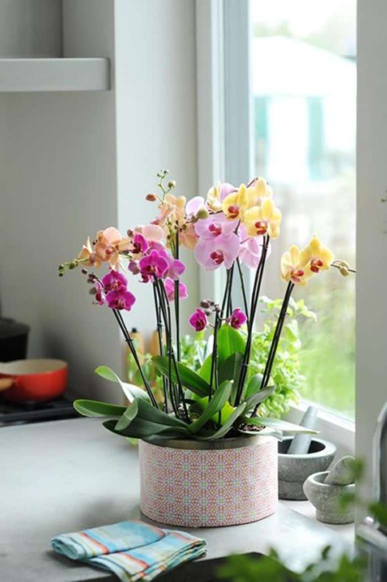 26. Vaso para orquídeas naturais – Via: Como Fazer em Casa
