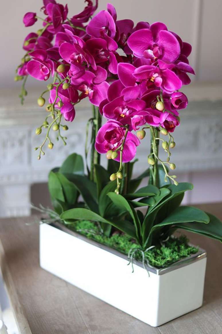 3. Vaso de orquídea pink para sala – Via: Hotmart