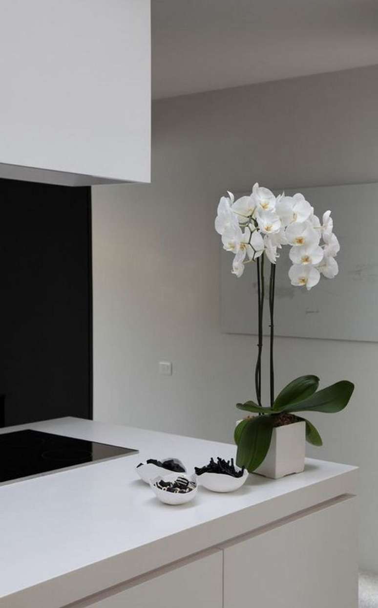 36. Vaso de orquídea simples – Via: Pinterest