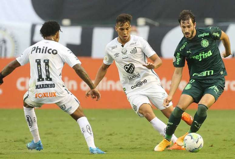 Palmeiras e Santos farão a grande final da Libertadores (Foto: Cesar Greco/Palmeiras)