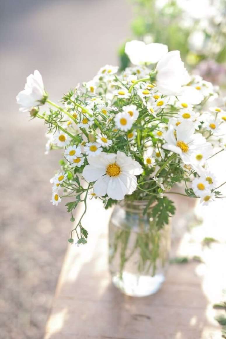 14. A planta margarida é considerada por muitos como a flor do amor. Fonte: Pinterest