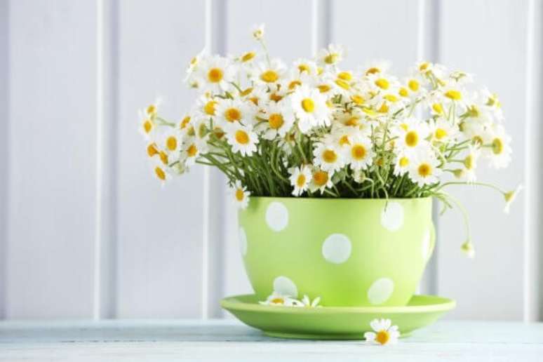 24. De origem europeia, a planta margarida gosta de sol pleno e é tolerante ao frio. Fonte: Pinterest
