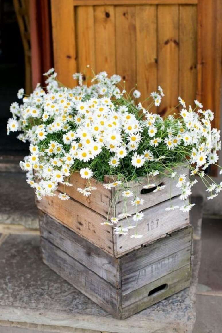 33. O caixote de madeira agrega valor ao arranjo de margarida. Fonte: Wedding For Ward