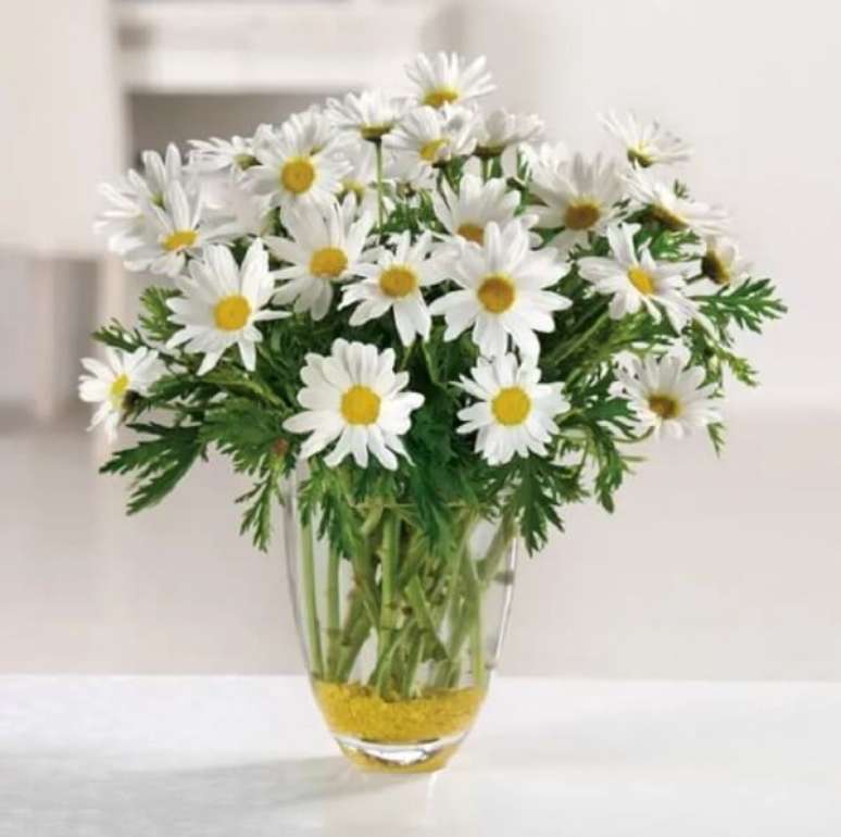 7. O vaso de margarida transparente realça a beleza da flor. Fonte: Pinterest