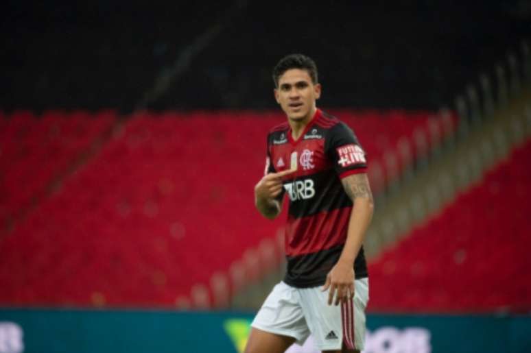 Pedro tem 21 gols pelo Flamengo (Foto: Alexandre Vidal / CRF)