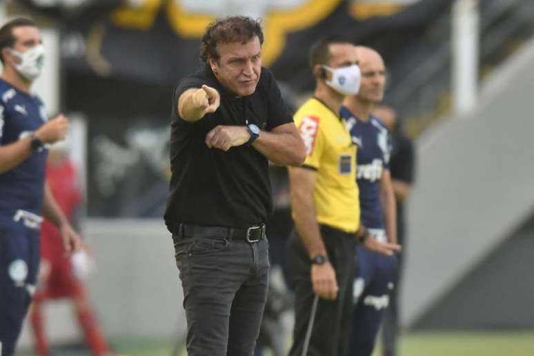 Cuca aprovou a atuação do Santos na vitória por 2 a 1 diante do Botafogo (Foto: Ivan Storti/Santos FC)