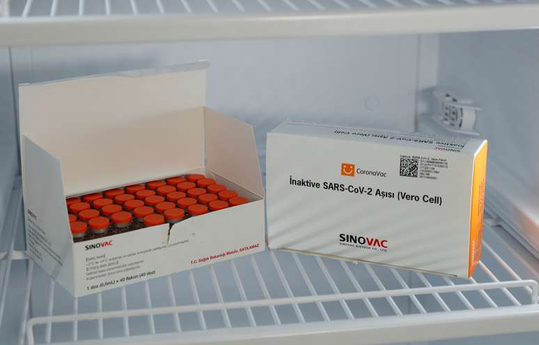 Doses da vacina contra covid-19 CoronaVac em geladeira em hospital de Istambul
14/01/2021 REUTERS/Murad Sezer