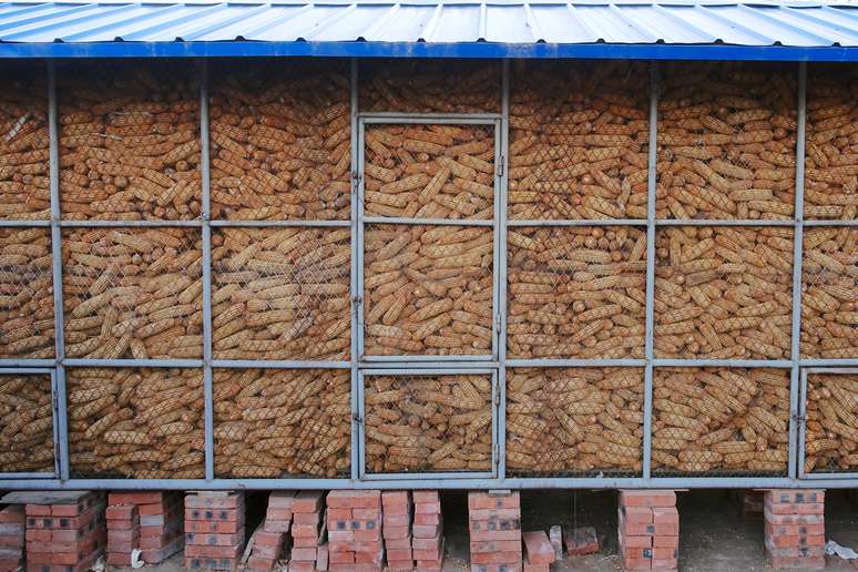 Estoques de milho, utilizado na produção de ração para animais, em fazenda em vila de Changtu, na China
REUTERS