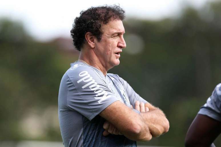 Cuca deve poupar os jogadores titulares do Santos nos próximos jogos (Foto: Ivan Storti/Santos FC)