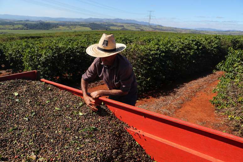 Trabalhador com café colhido de uma plantação em São João da Boa Vista, no Estado de São Paulo
REUTERS/Amanda Perobelli