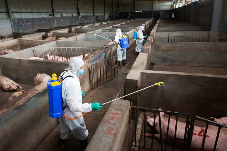 Veterinários e cuidadores de animais usam roupas de proteção durante desinfecção de fazenda de suínos na China após casos de peste suína africana
REUTERS/Stringer