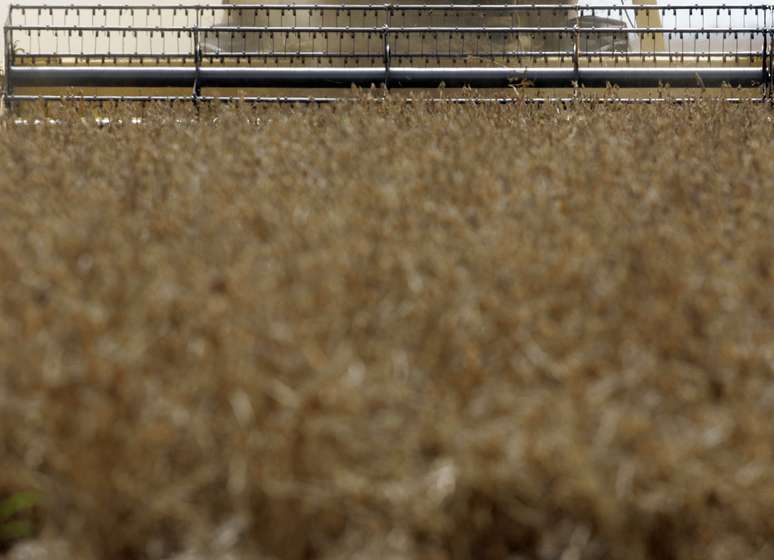 Colheita de soja em Nova Mutum (MT) 
29/02/2008
REUTERS/Paulo Whitaker