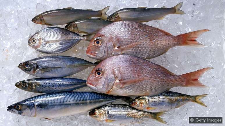 Até que ponto os benefícios do peixe para a saúde superam os riscos?