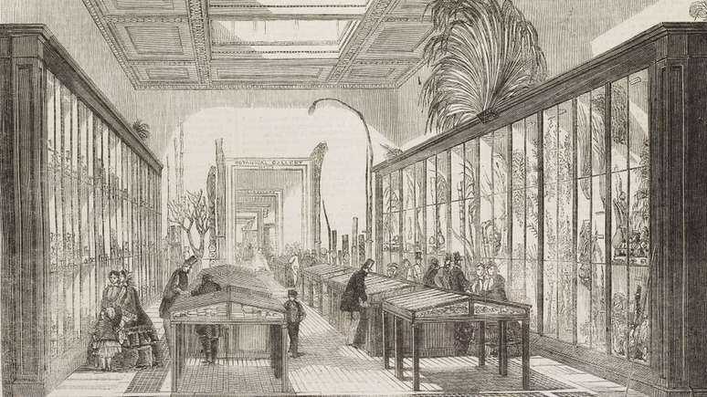 Sala botânica do Museu Britânico, em 1858