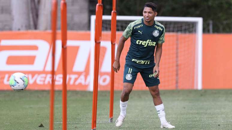 Rony desfalcou o Palmeiras nas duas últimas partidas (Foto: Cesar Greco/Palmeiras)