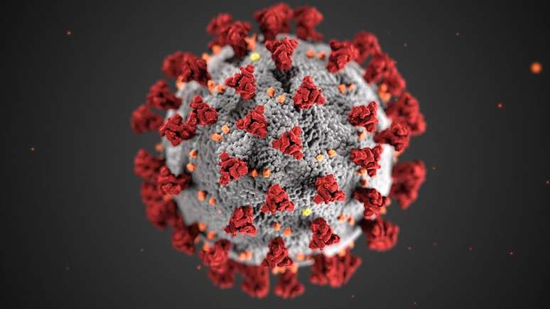 As proteínas spike (em vermelho) ajudam o vírus a entrar nas células, mas também são os alvos dos anticorpos