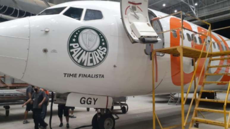 Avião personalizado do Palmeiras (foto: reprodução)