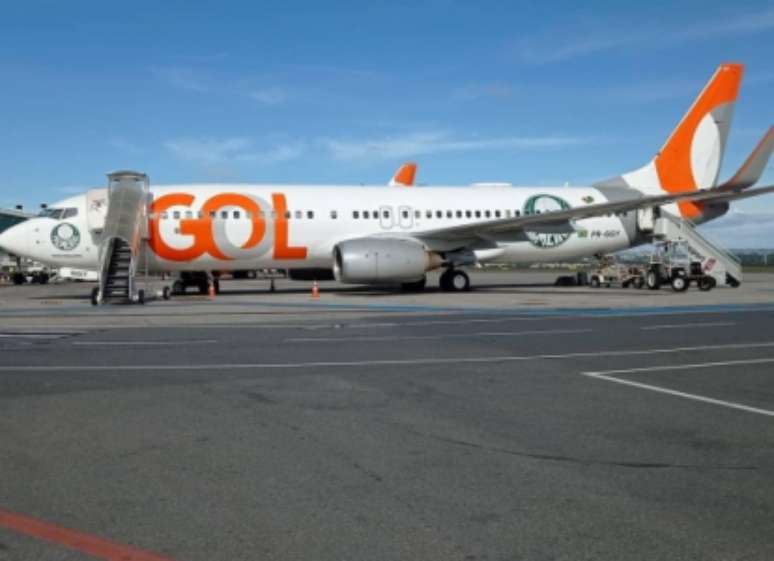 Avião personalizado do Palmeiras (Foto: Reprodução)