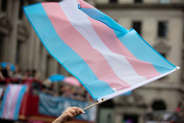 A,Transgender,Flag,Being,Waved,At,Lgbt,Gay,Pride,March