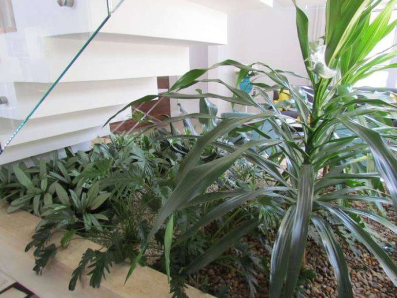 9. Escolham plantas que se adaptem bem dentro de casa para o seu jardim de inverso
