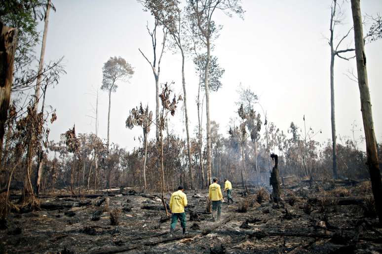 Brigada de incêndio do Ibama controla chamas em trecho da Floresta Amazônica próximo à cidade de Apuí
11/08/2020
REUTERS/Ueslei Marcelino