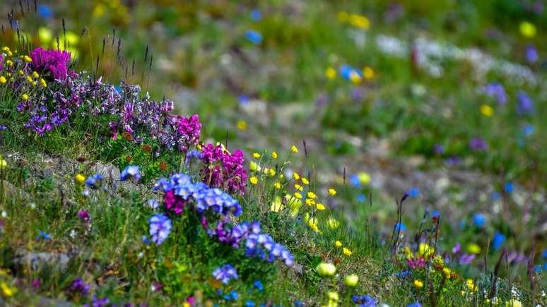 Nos meses de temperatura amena, a ilha despertava otimismo