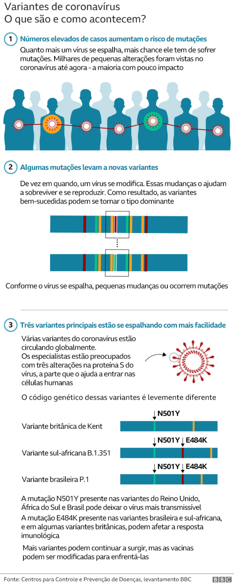 Gr&aacute;fico sobre variantes do coronav&iacute;rus