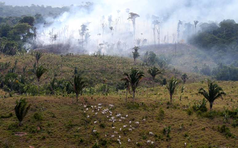 Área sendo queimada na região de Itaituba, no Pará
REUTERS/Ricardo Moraes