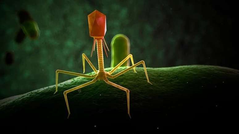 Ilustração de um bacteriófago