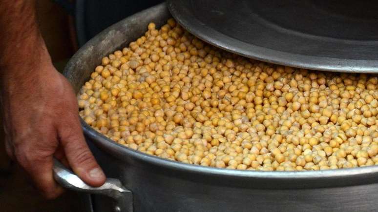 Em alguns gr&atilde;os e sementes, os antinutrientes permitem que as plantas prosperem, apesar de serem consumidas por animais