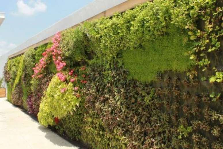 9. O modelo de muro de casa com jardim vertical é uma tendência na arquitetura. Fonte: Pinterest