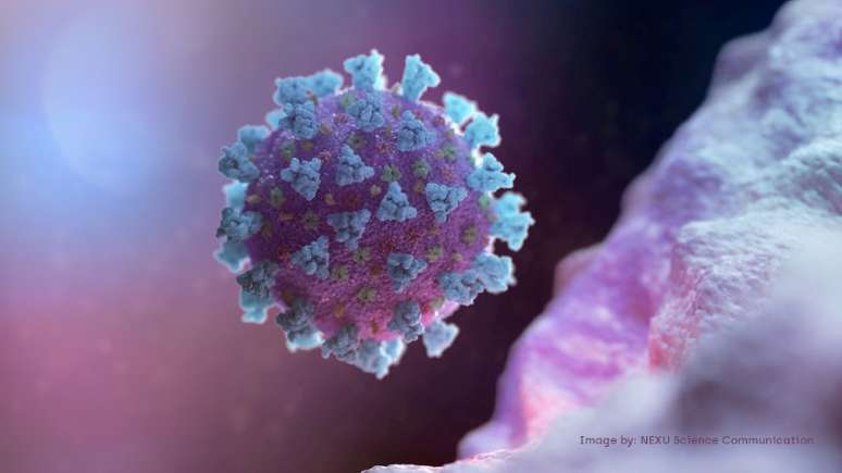 Ilustração em 3D do coronavírus
NEXU Science Communication/via REUTERS