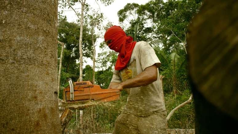 Madeireiro derruba árvore em área protegida nos arredores de Porto Velho; Rondônia já perdeu um terço de sua mata nativa.