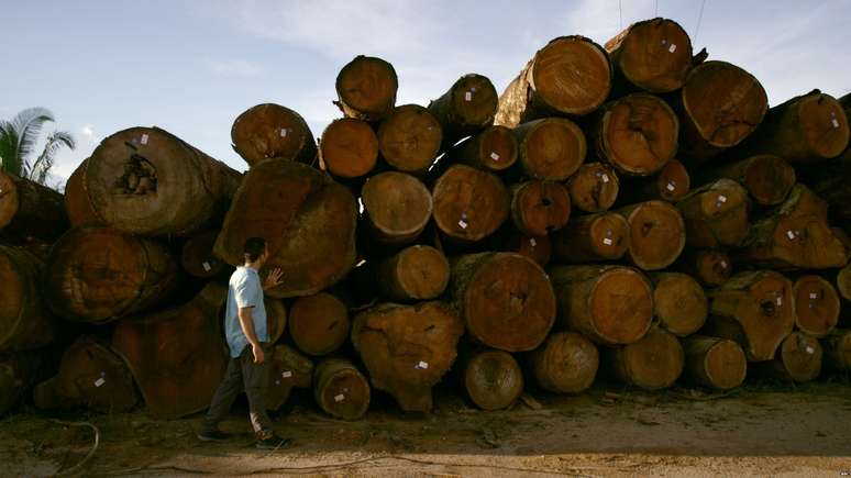 Toras de árvores amazôicas prontas para serem vendidas em depósito próximo ao rio Jamari, em Rondônia.