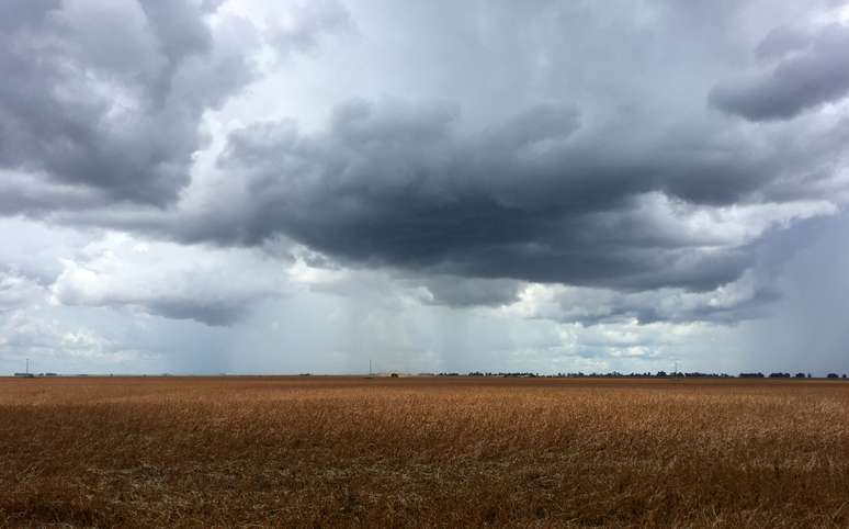 Planta&ccedil;&atilde;o de soja em S&atilde;o Desid&eacute;rio, na Bahia
REUTERS/Roberto Samora