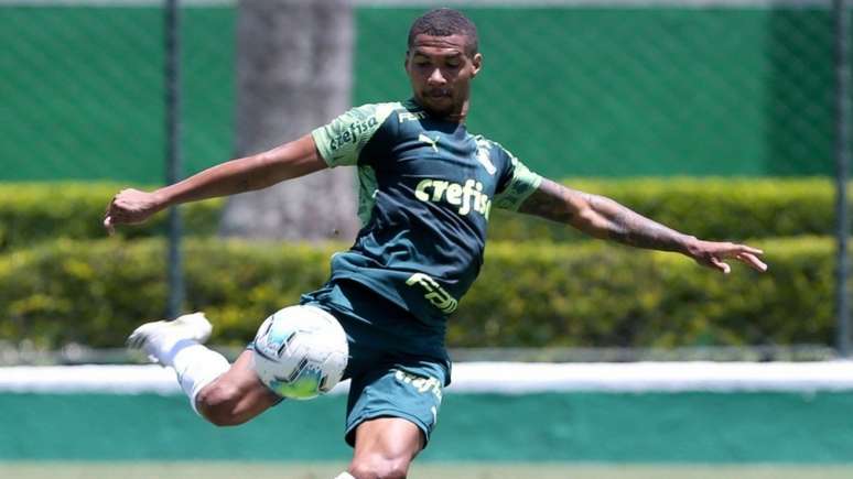 (Foto: Cesar Greco/Palmeiras)