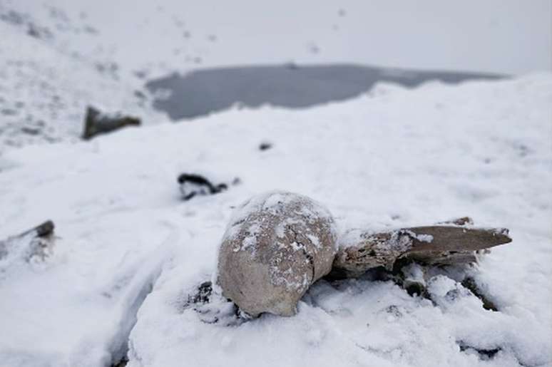 Esqueletos ficam boa parte do ano encobertos por neve e gelo