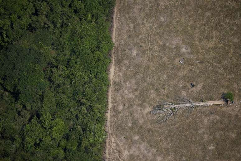 Área desmatada da Amazônia perto de Porto Velho, em Rondônia
14/08/2020 REUTERS/Ueslei Marcelino