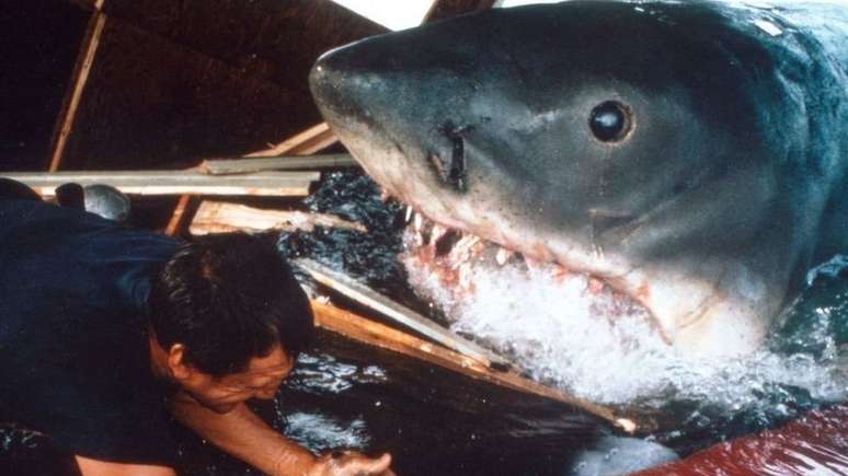 O filme 'Tubarão', baseado no livro de mesmo nome de Peter Benchley, teve um efeito desastroso na forma como as pessoas veem os tubarões