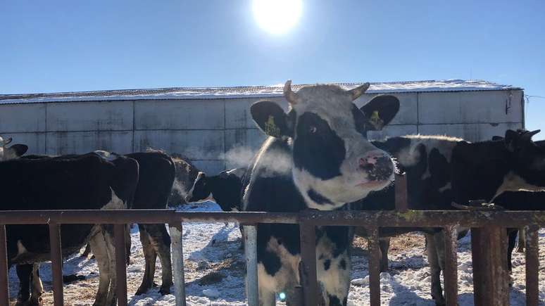 Fazenda no vilarejo de Sputnik