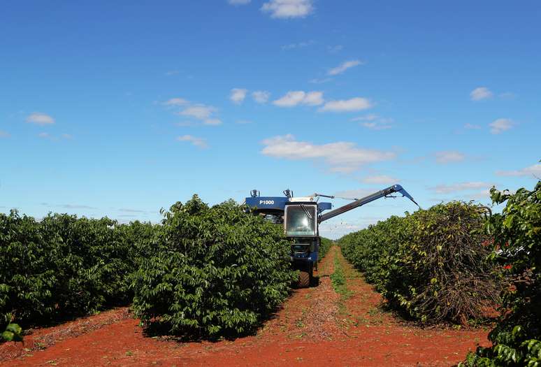 Colheita de caf&eacute; em planta&ccedil;&atilde;o em S&atilde;o Jo&atilde;o da Boa Vista, no Brasil
REUTERS/Amanda Perobelli
