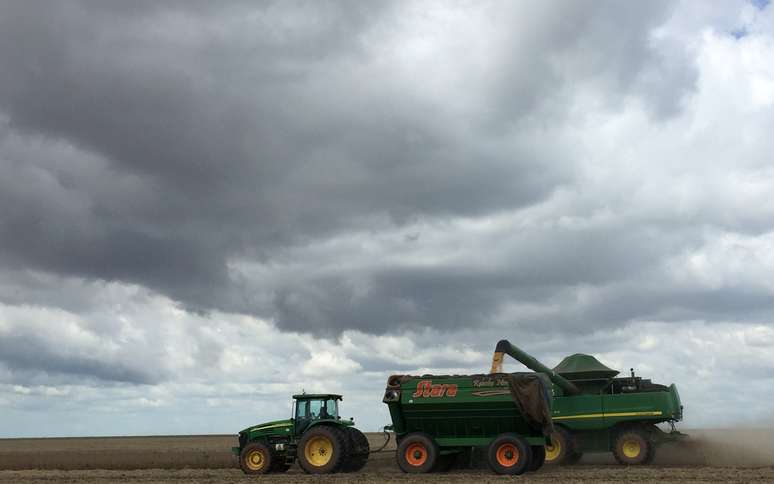 Colheita de soja em Gilbu&eacute;s (PI) 
20/03/2017
REUTERS/Roberto Samora